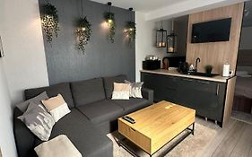 Luxury Studio